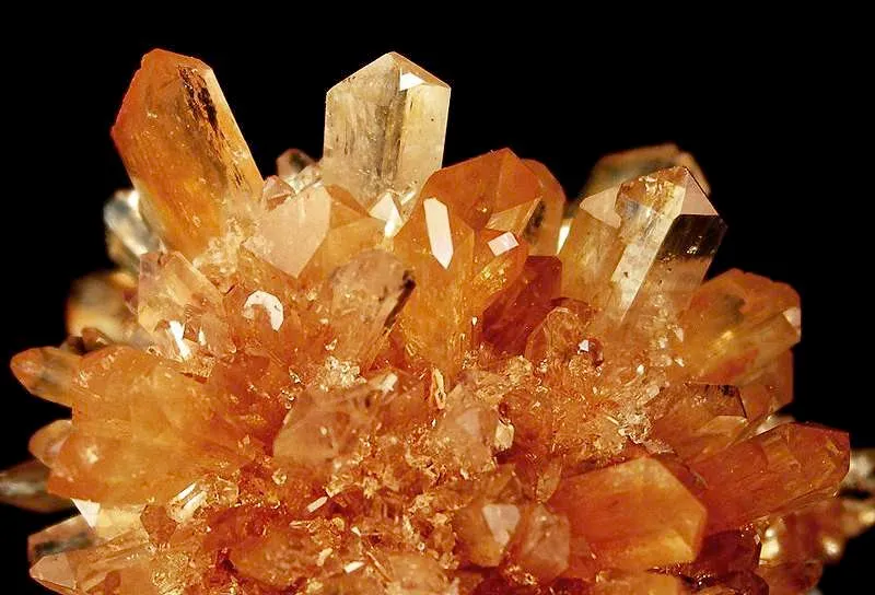 Creedite - image 3