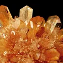 Creedite - image 3