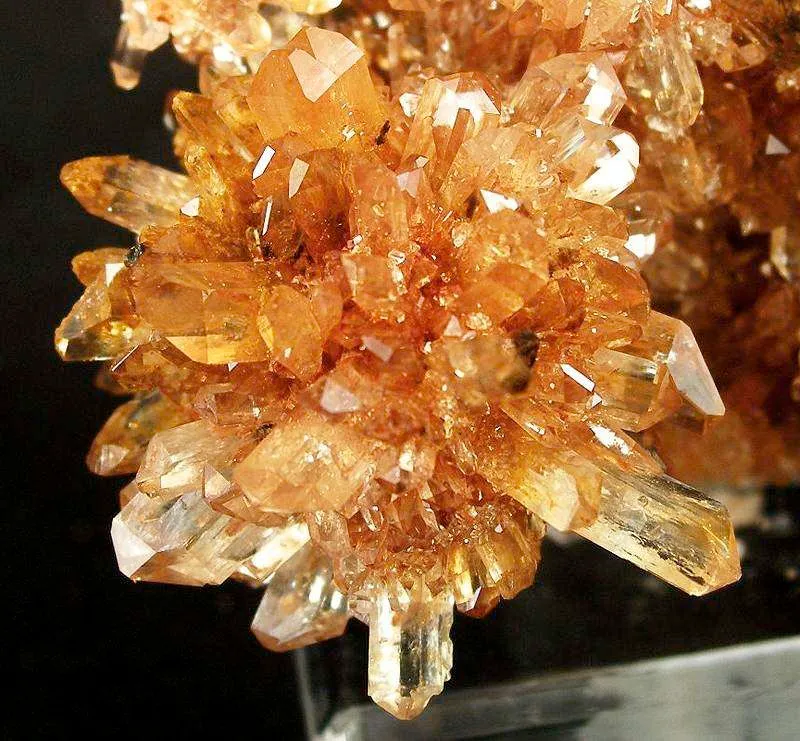 Creedite - image 3