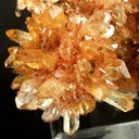 Creedite - image 3