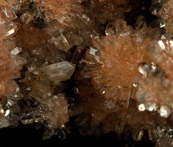 Creedite - image 2