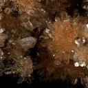Creedite - image 2
