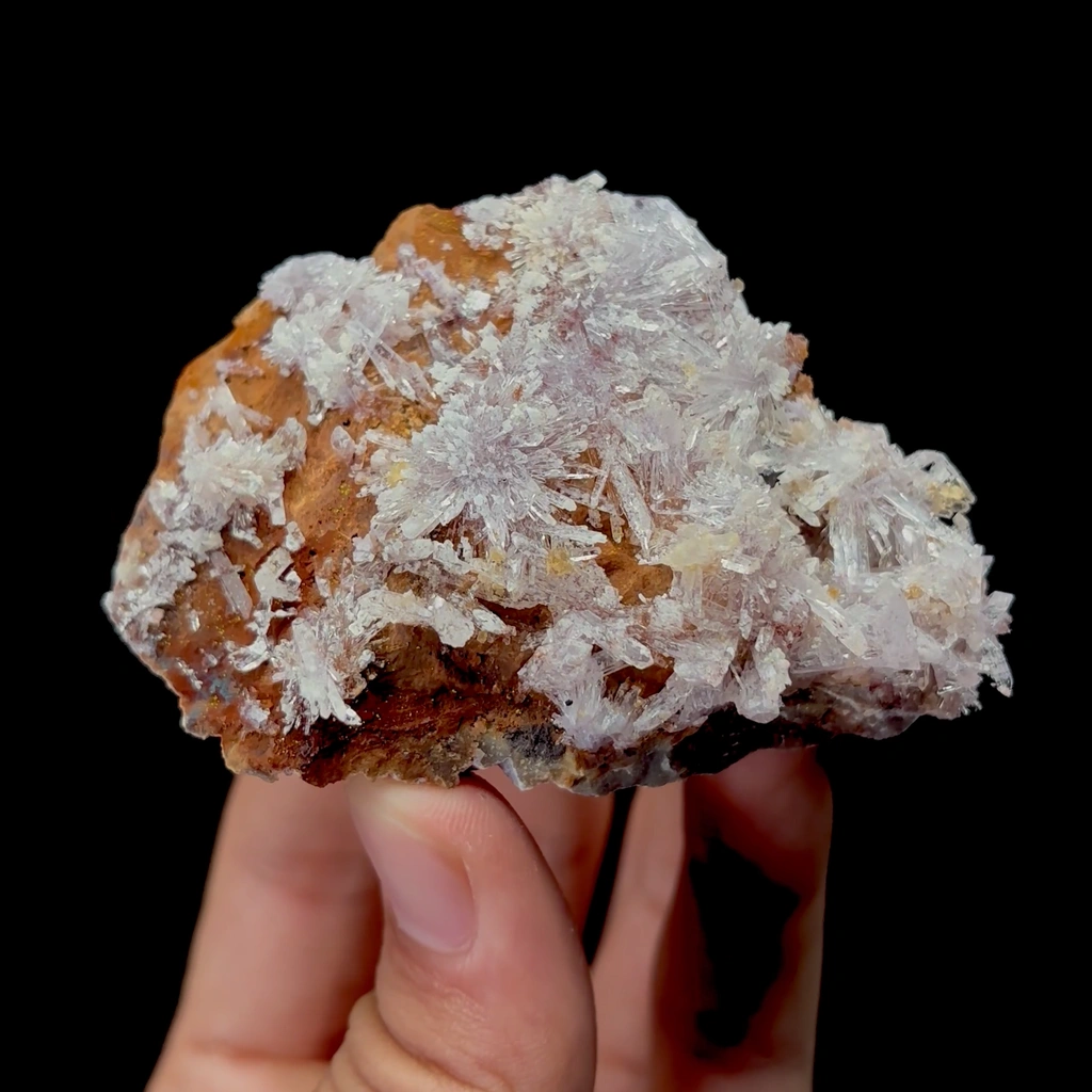 Creedite - image 5
