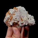 Creedite - image 5