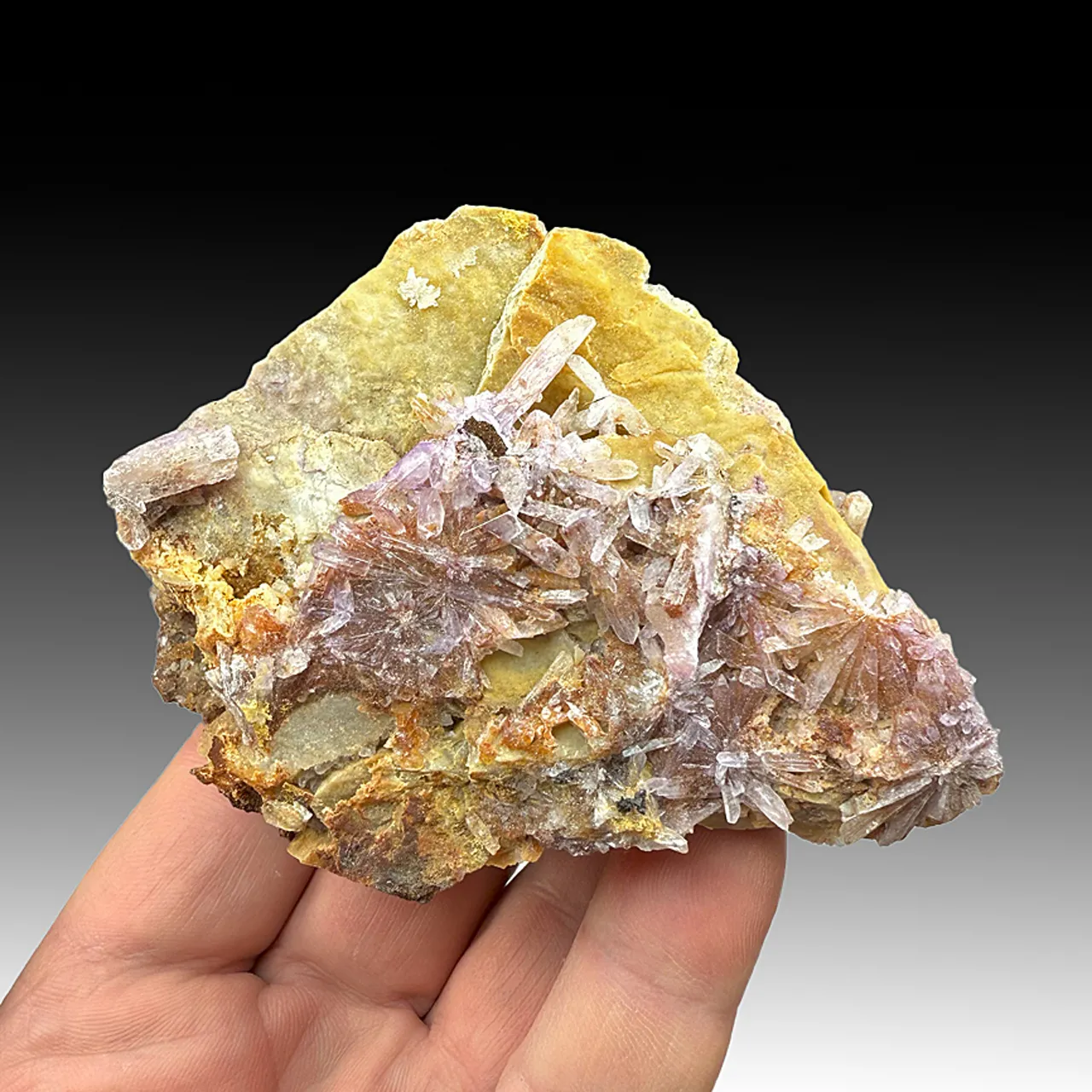Creedite - image 1