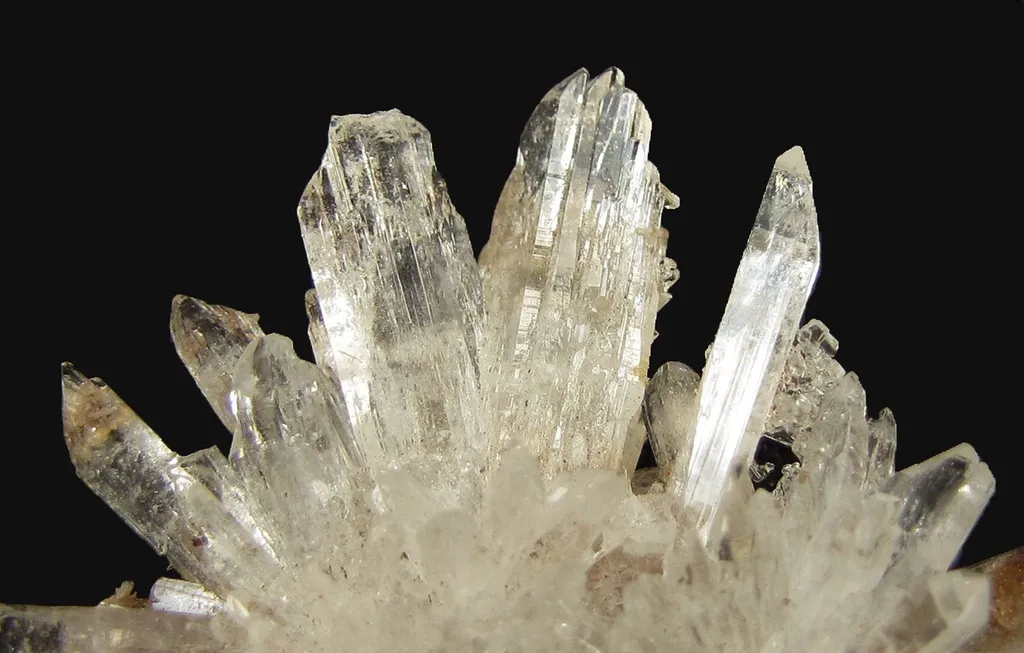 Creedite - image 2