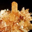 Creedite - image 3