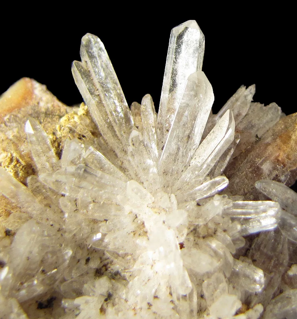 Creedite - image 2