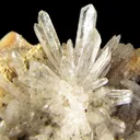 Creedite - image 2