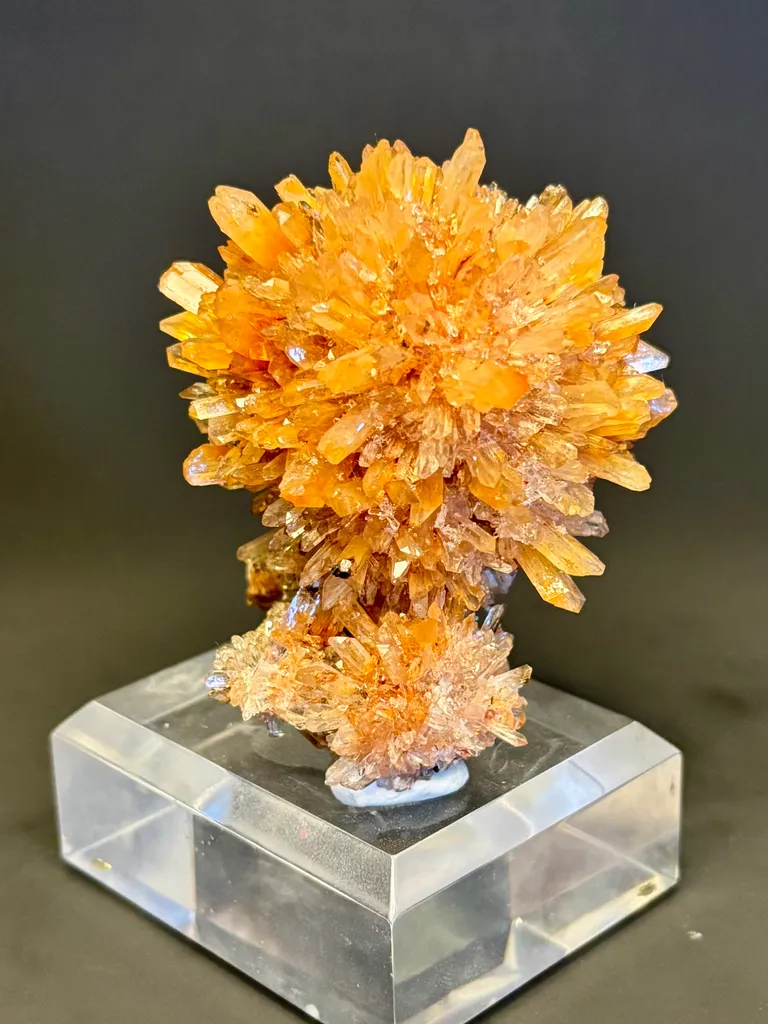 Creedite image