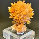 Creedite - image 1