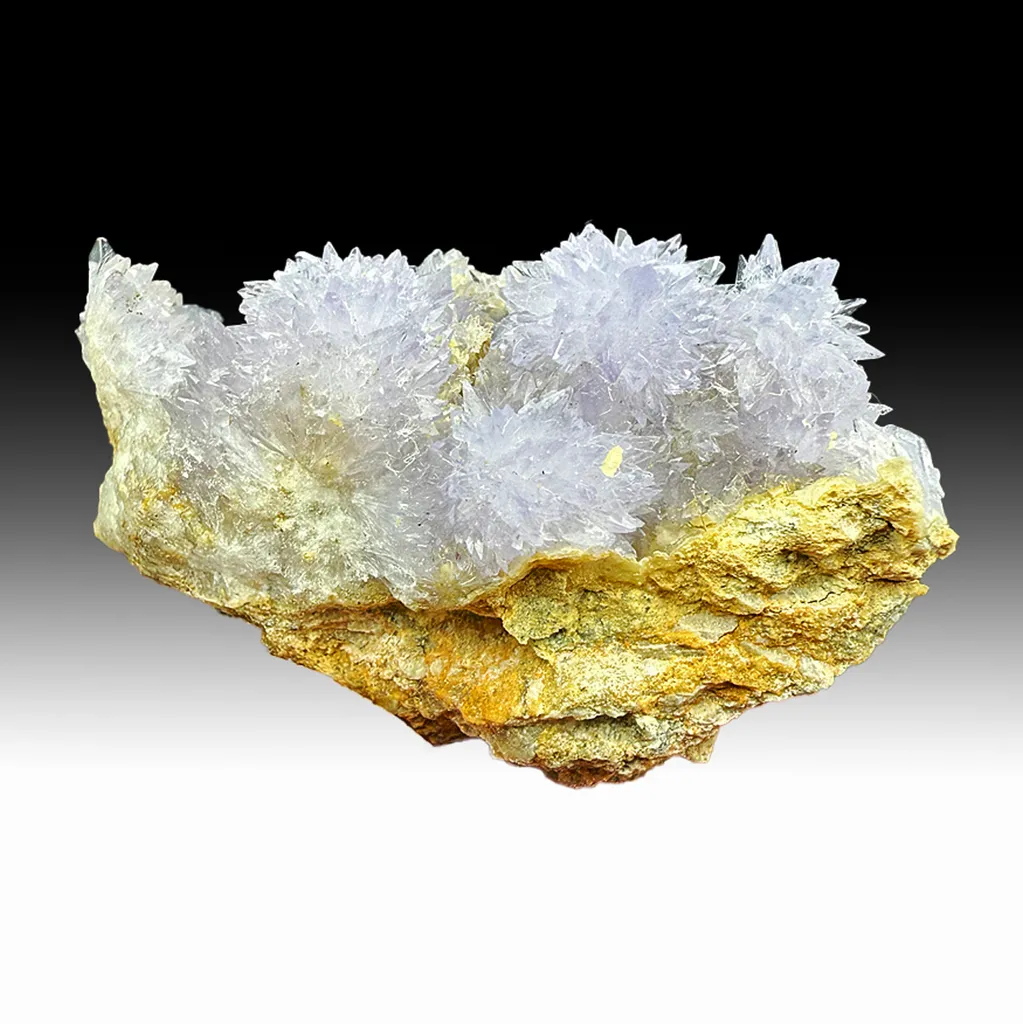 Creedite image
