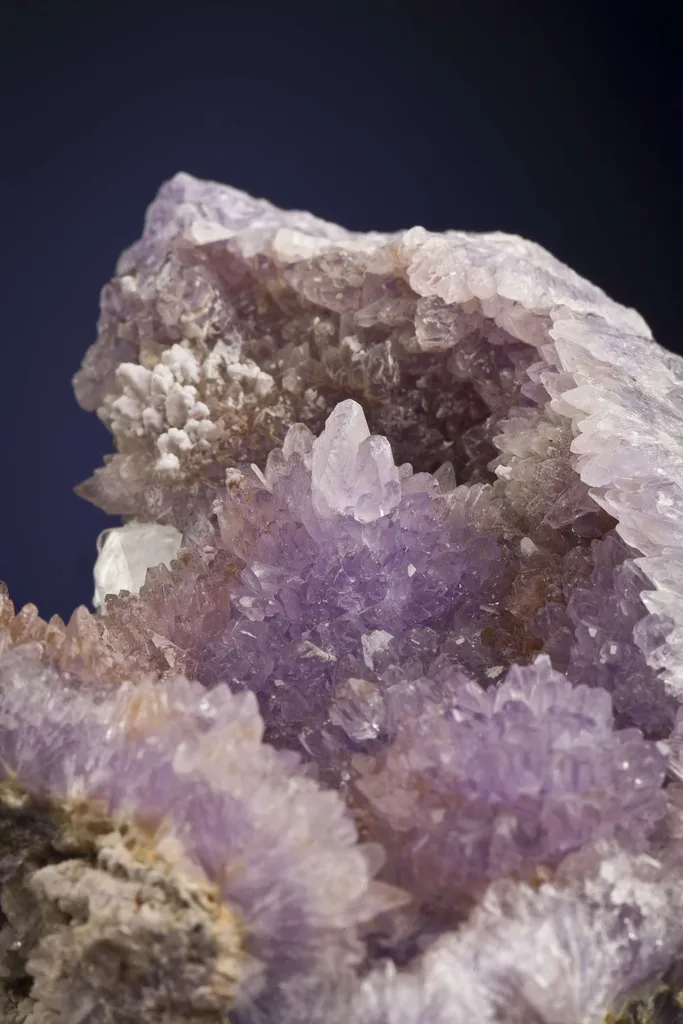 Creedite - image 3