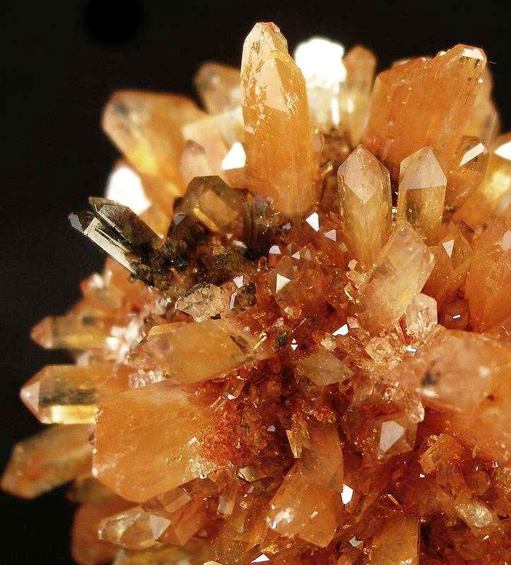 Creedite - image 3