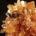 Creedite - image 3