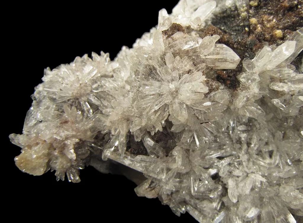 Creedite - image 3