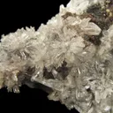 Creedite - image 3