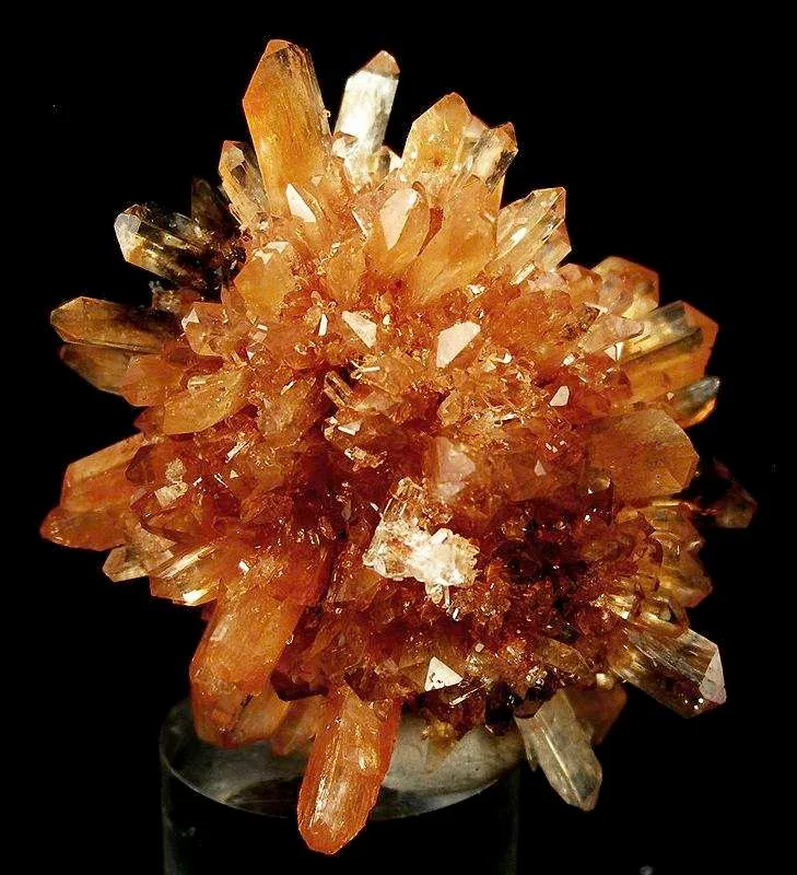 Creedite - image 2