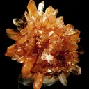 Creedite - image 2