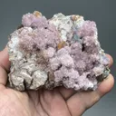 Creedite - image 2