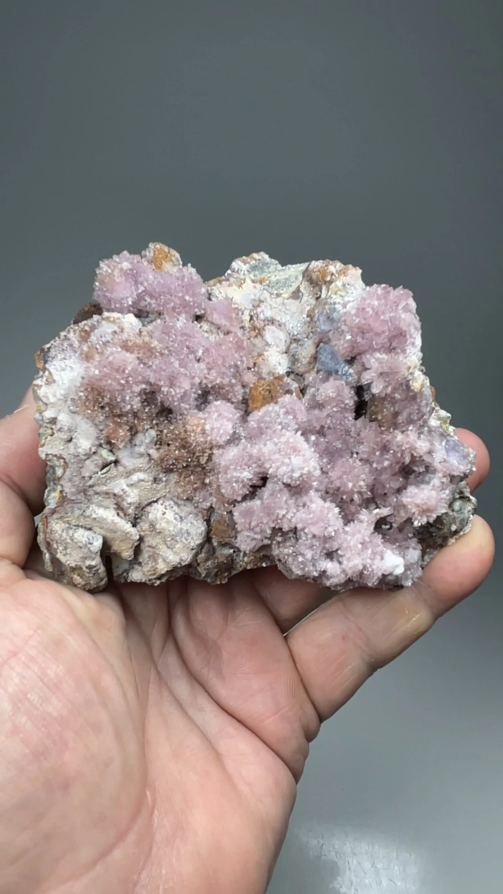 Creedite - image 2