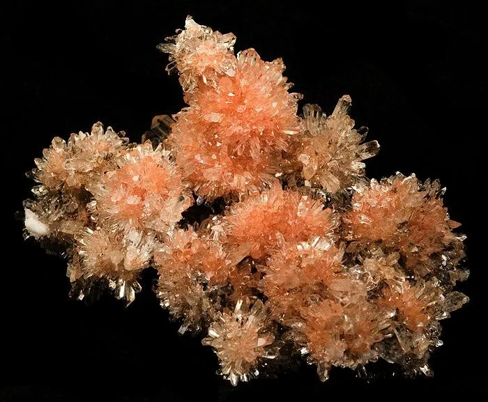 Creedite image