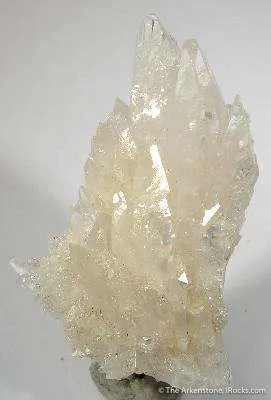 Creedite image