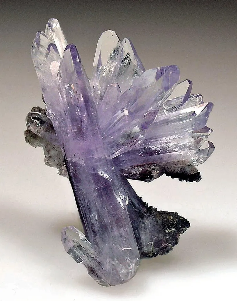Creedite - image 2