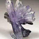 Creedite - image 2