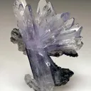Creedite - image 1