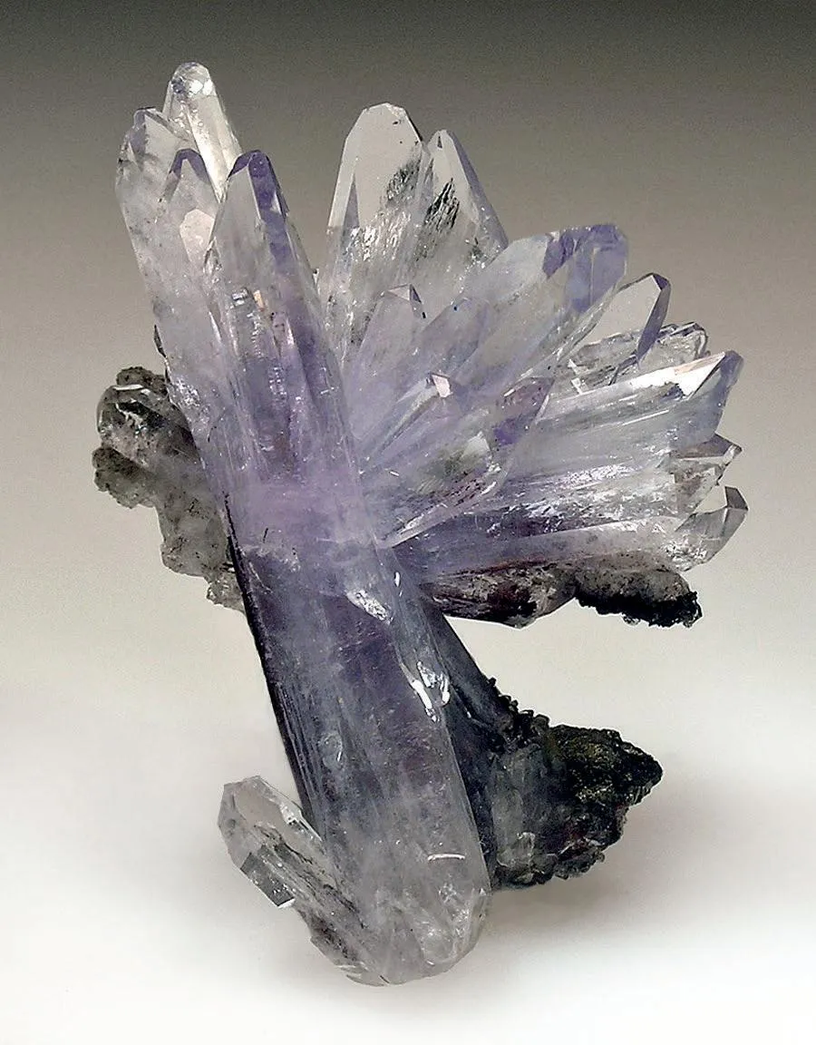 Creedite - image 1