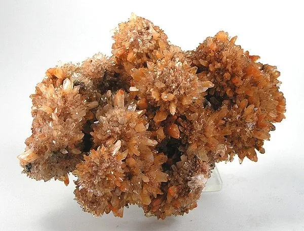Creedite image