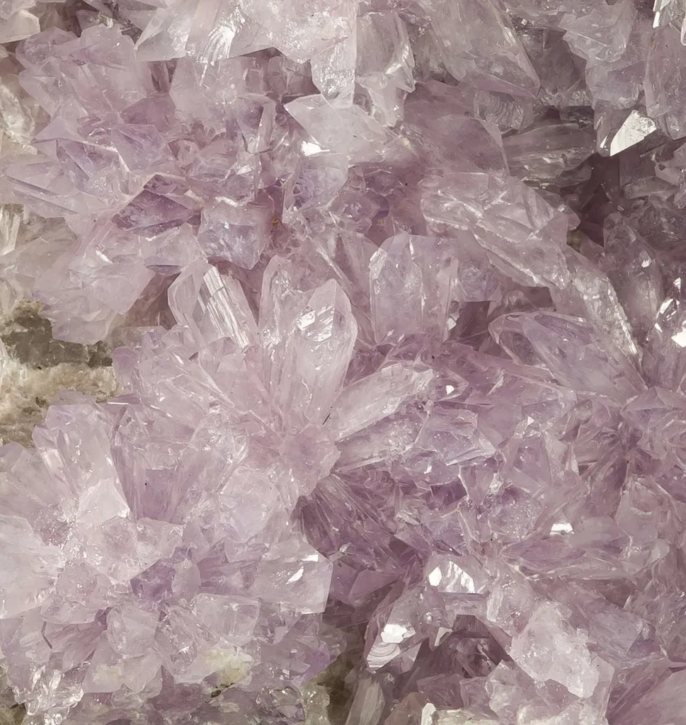 Creedite - image 2