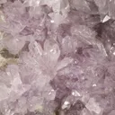 Creedite - image 2