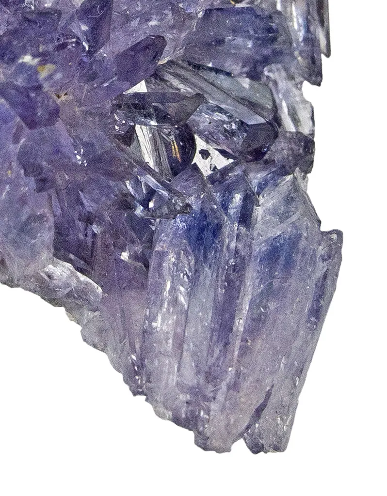 Creedite - image 6