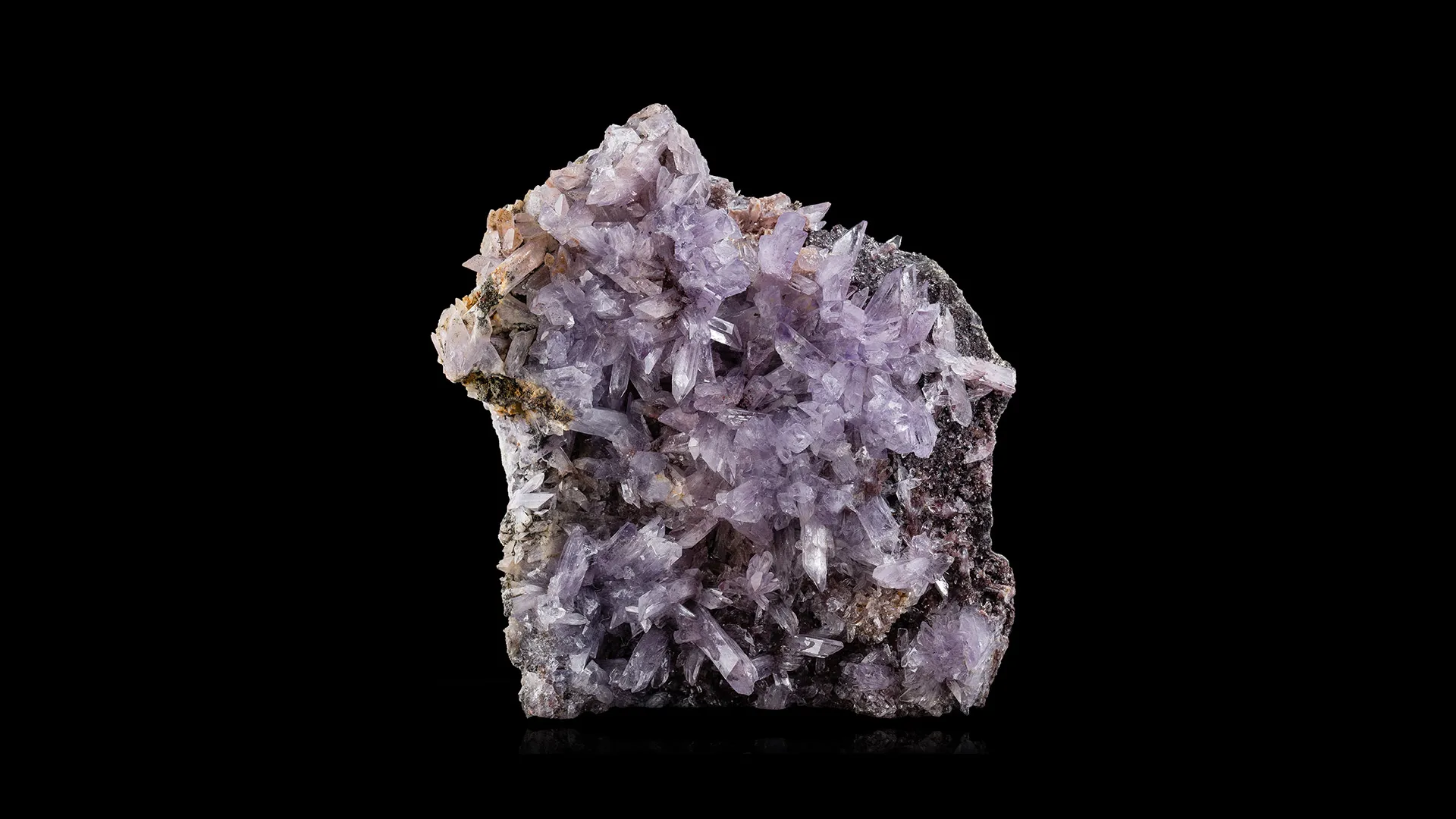 Creedite - image 2