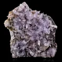Creedite - image 1