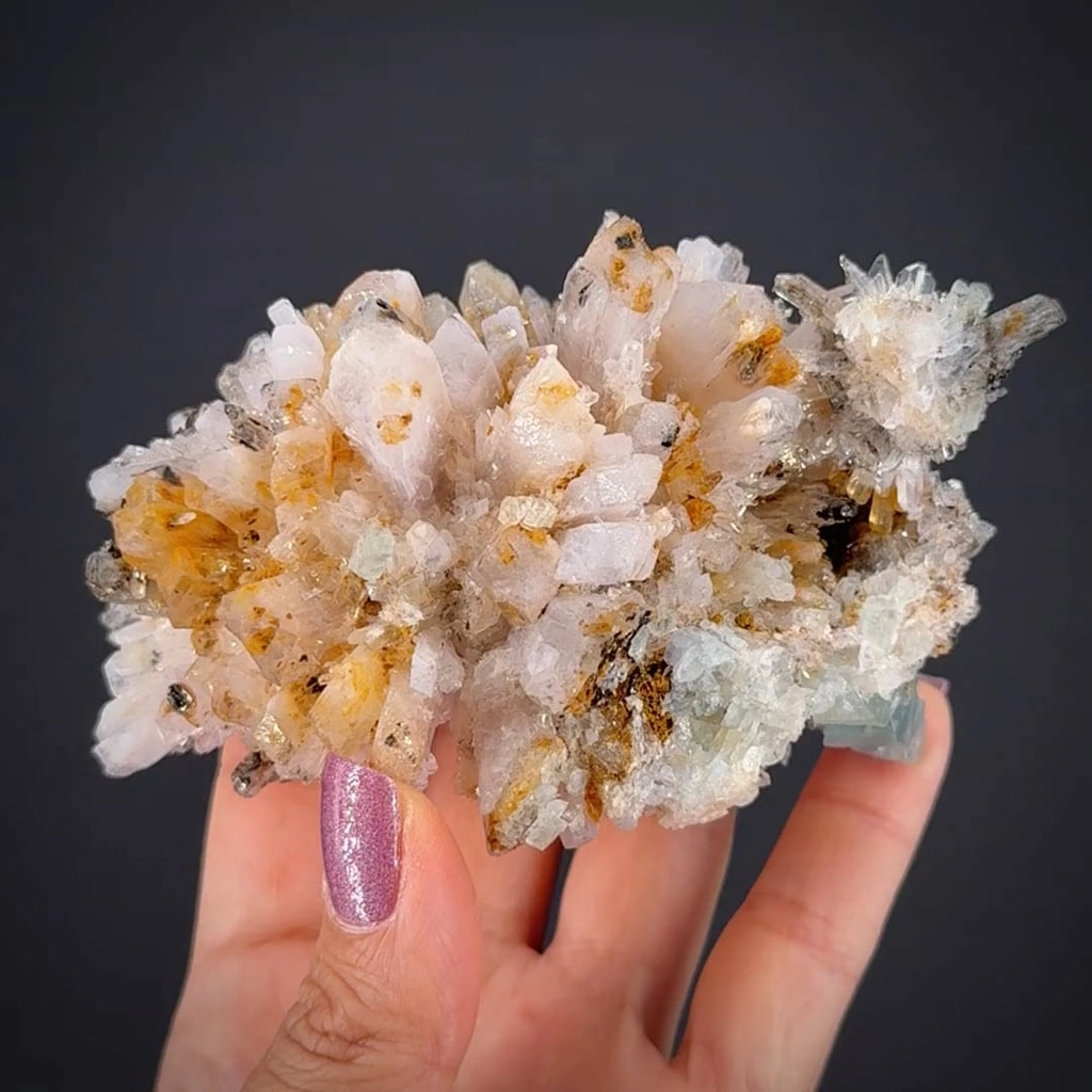 Creedite