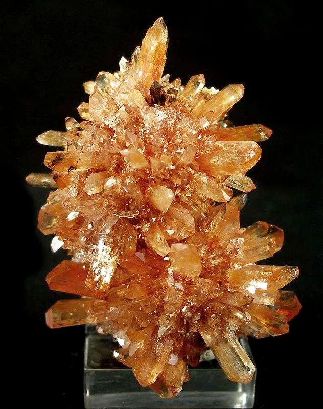 Creedite image