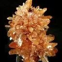 Creedite - image 1