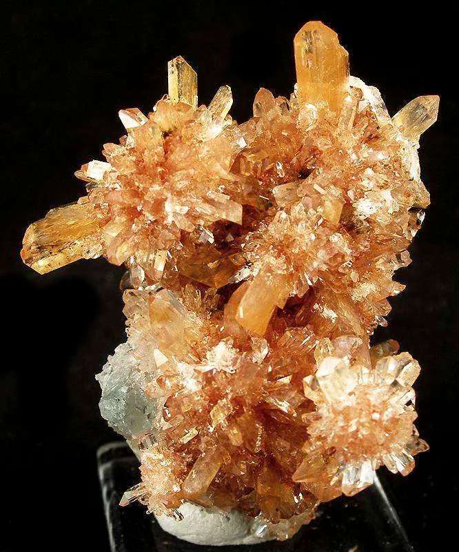 Creedite image