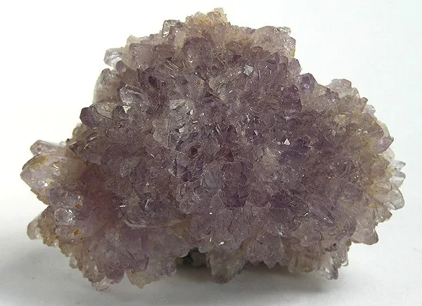 Creedite image