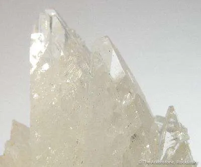 Creedite - image 4
