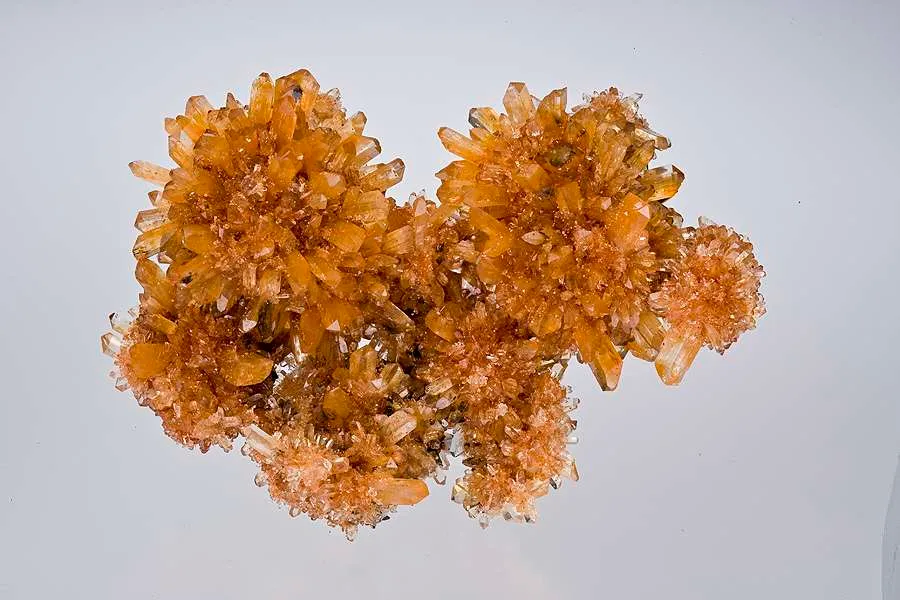 Creedite image