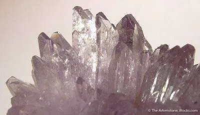 Creedite - image 2