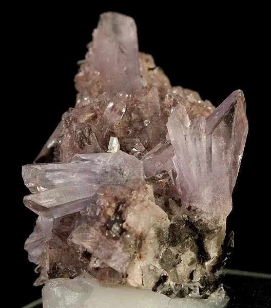 Creedite image