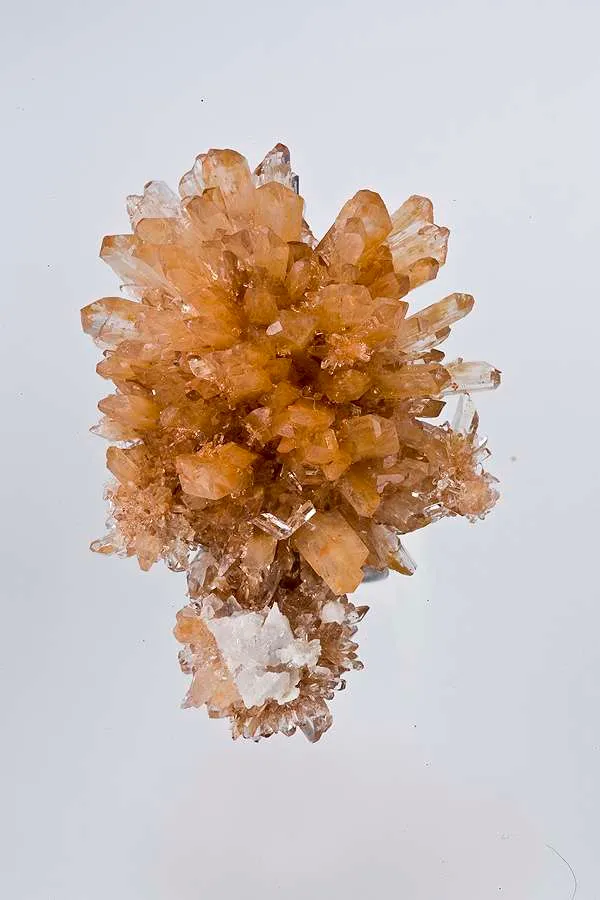 Creedite image