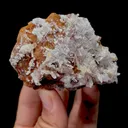Creedite - image 4