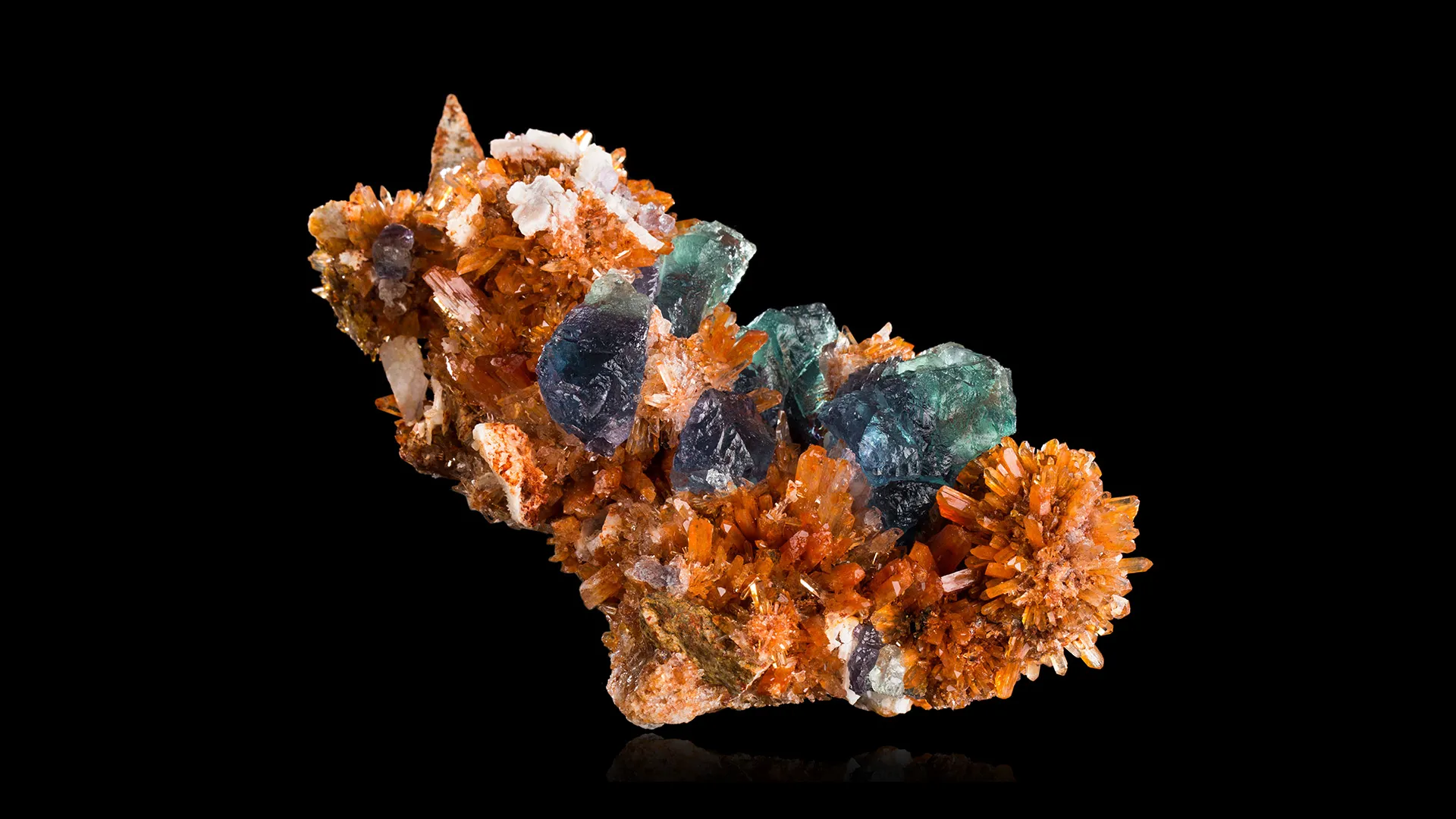 Creedite - image 1