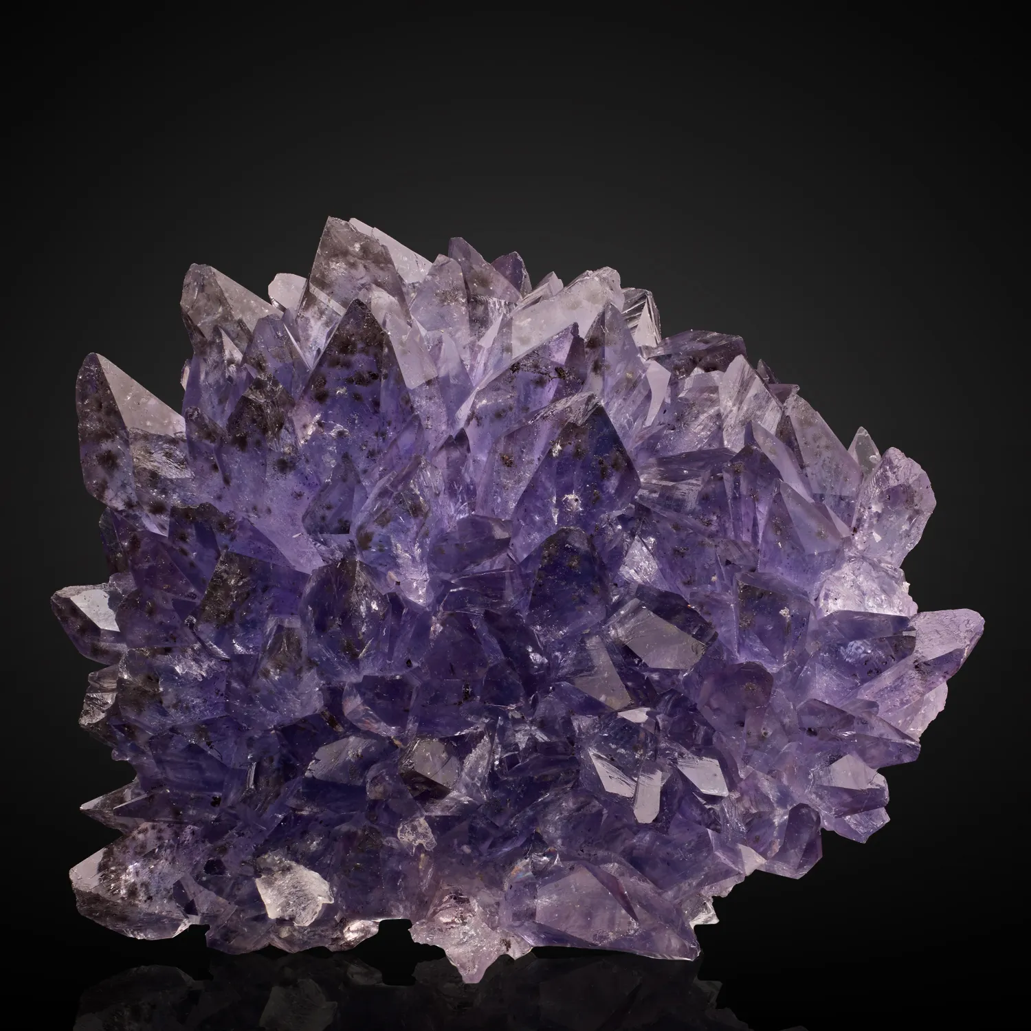 Creedite - image 1